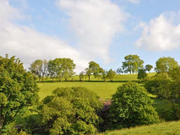 Hendre Aled Cottage 1 Llansannan Kültér fotó